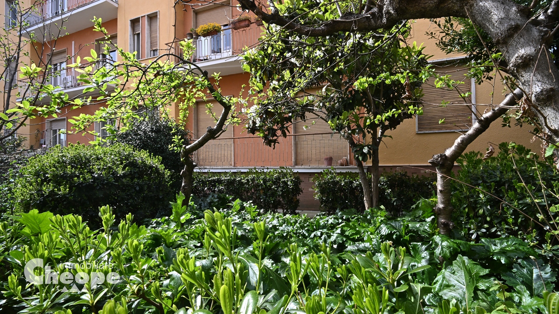 13_Via Aceto.JPG